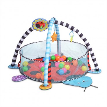 Cangaroo Play Gym and Activity Mat with 30 Balls Ladyfly 3800146267841